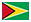 Flag of Guyana