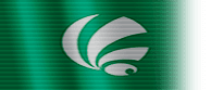 Shodoshima Flag.png