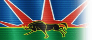 Flag of KwaZulu-Natal