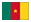 Flag of Cameroon