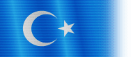 Flag of Uyghur